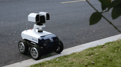 t6.gif